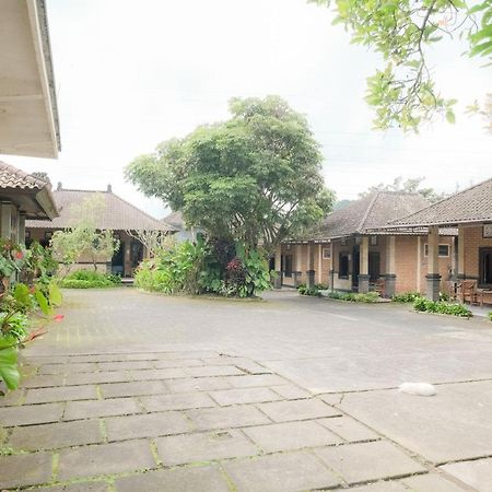 Pelangi Homestay Bedugul Redpartner Exteriér fotografie